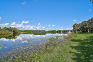 7363 Oak Moss Dr-39