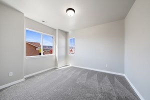 737 Airman Ln, Colorado Springs, CO 80921, USA Photo 36