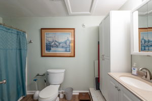  Photo 43