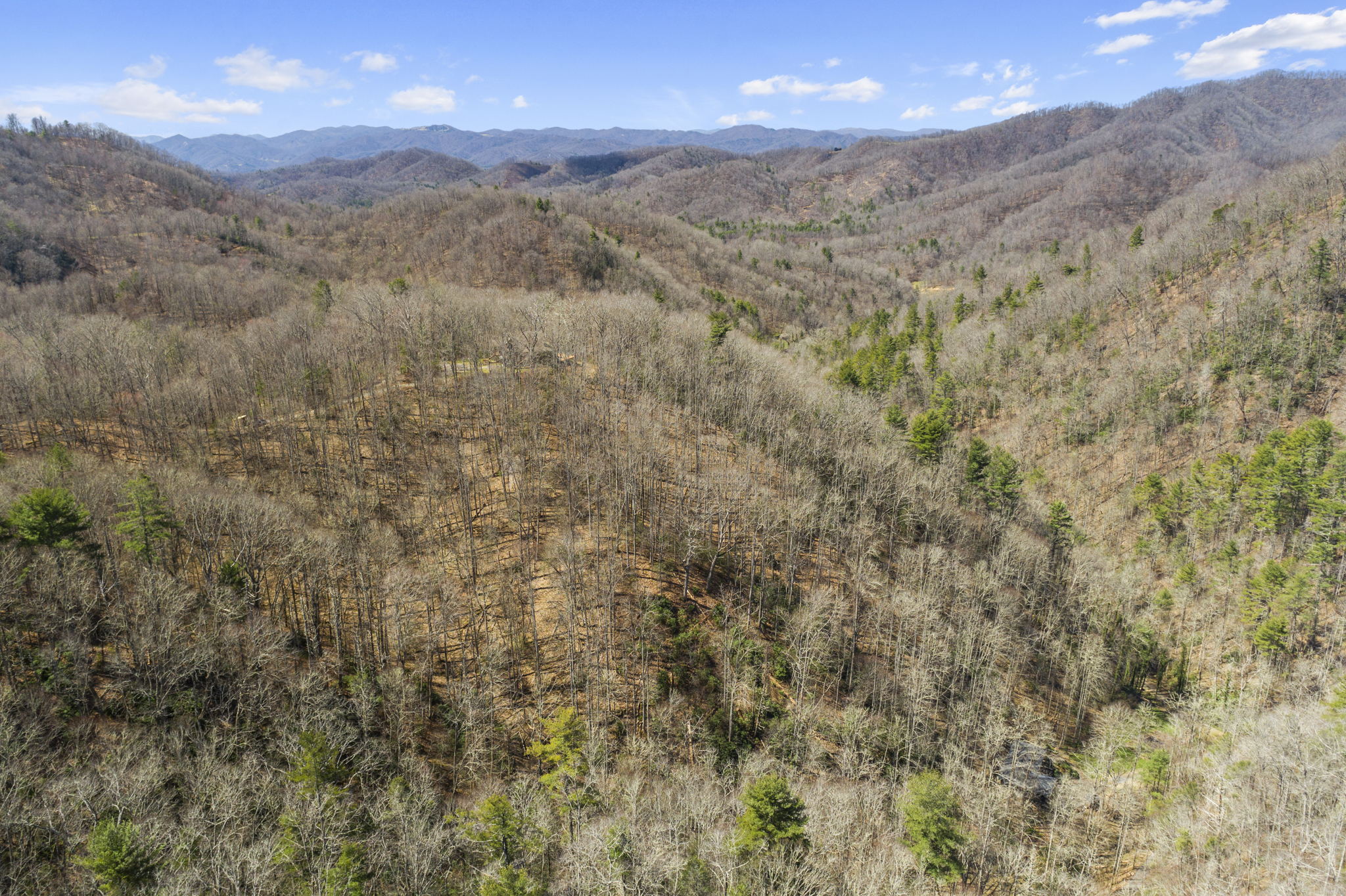 738 Heck Creek Rd, Marshall, NC 28753, USA Photo 56