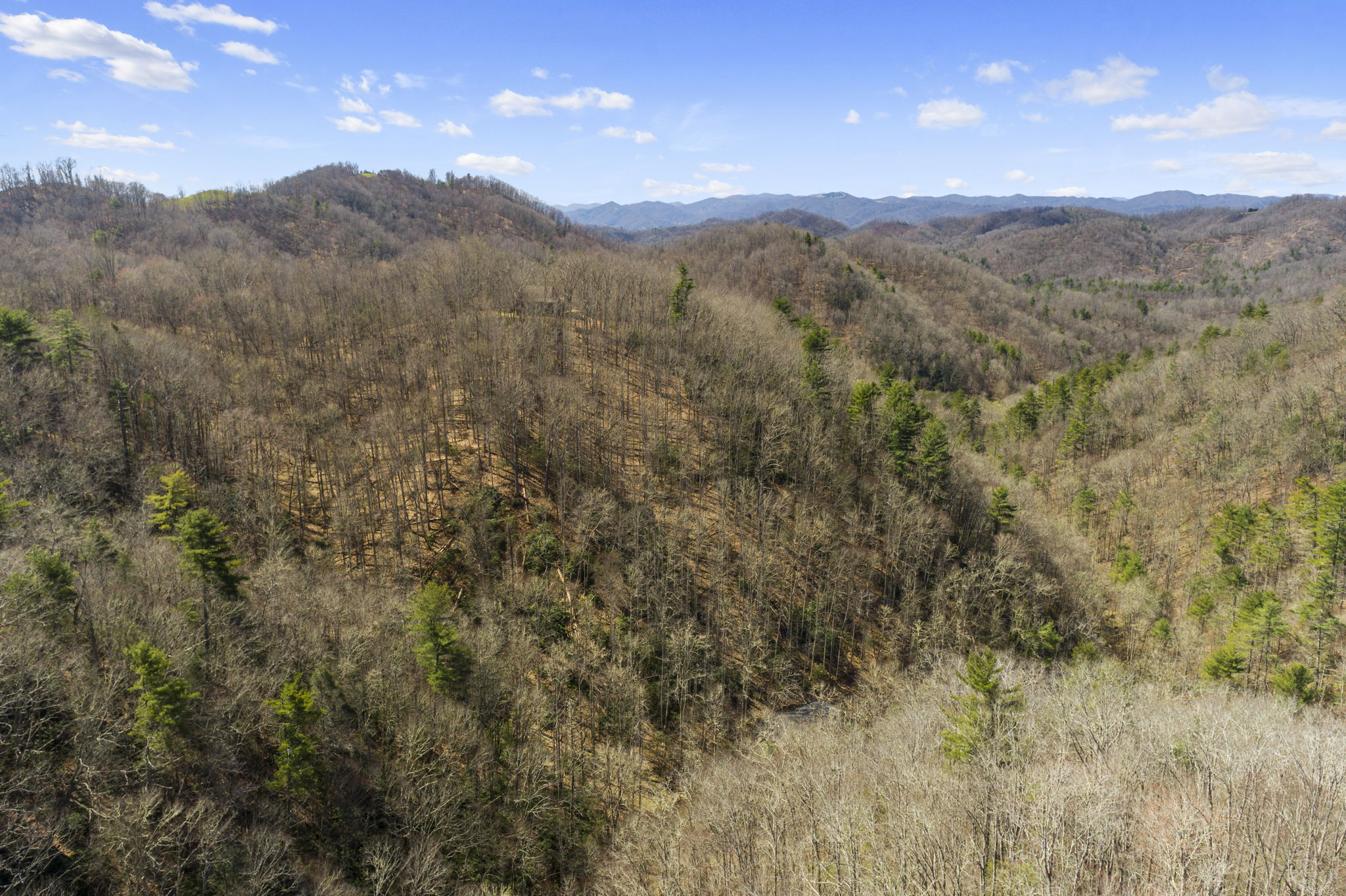 738 Heck Creek Rd, Marshall, NC 28753, USA Photo 55