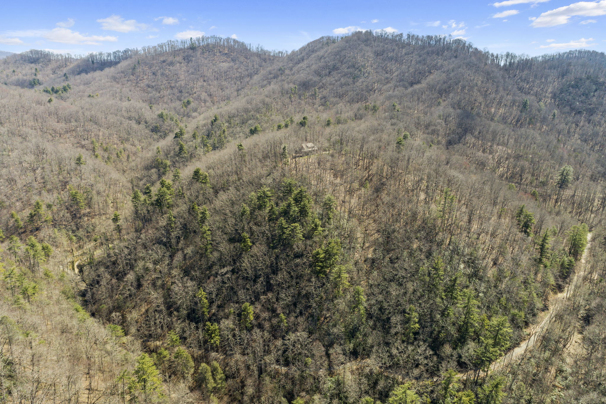 738 Heck Creek Rd, Marshall, NC 28753, USA Photo 52