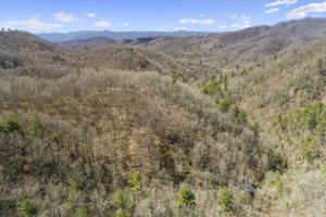 738 Heck Creek Rd, Marshall, NC 28753, USA Photo 55