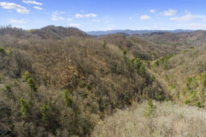 738 Heck Creek Rd, Marshall, NC 28753, USA Photo 54