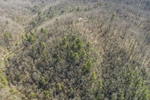738 Heck Creek Rd, Marshall, NC 28753, USA Photo 50