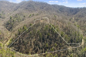 738 Heck Creek Rd, Marshall, NC 28753, USA Photo 1