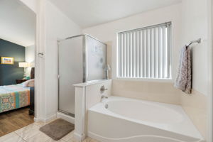 Primary Bathroom (3)