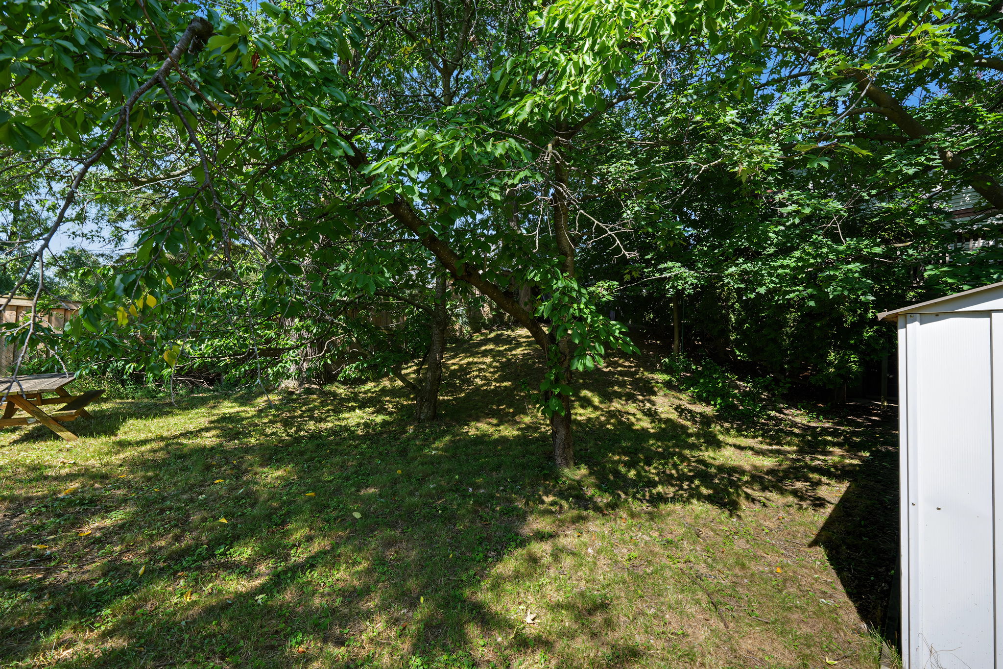  Photo 44