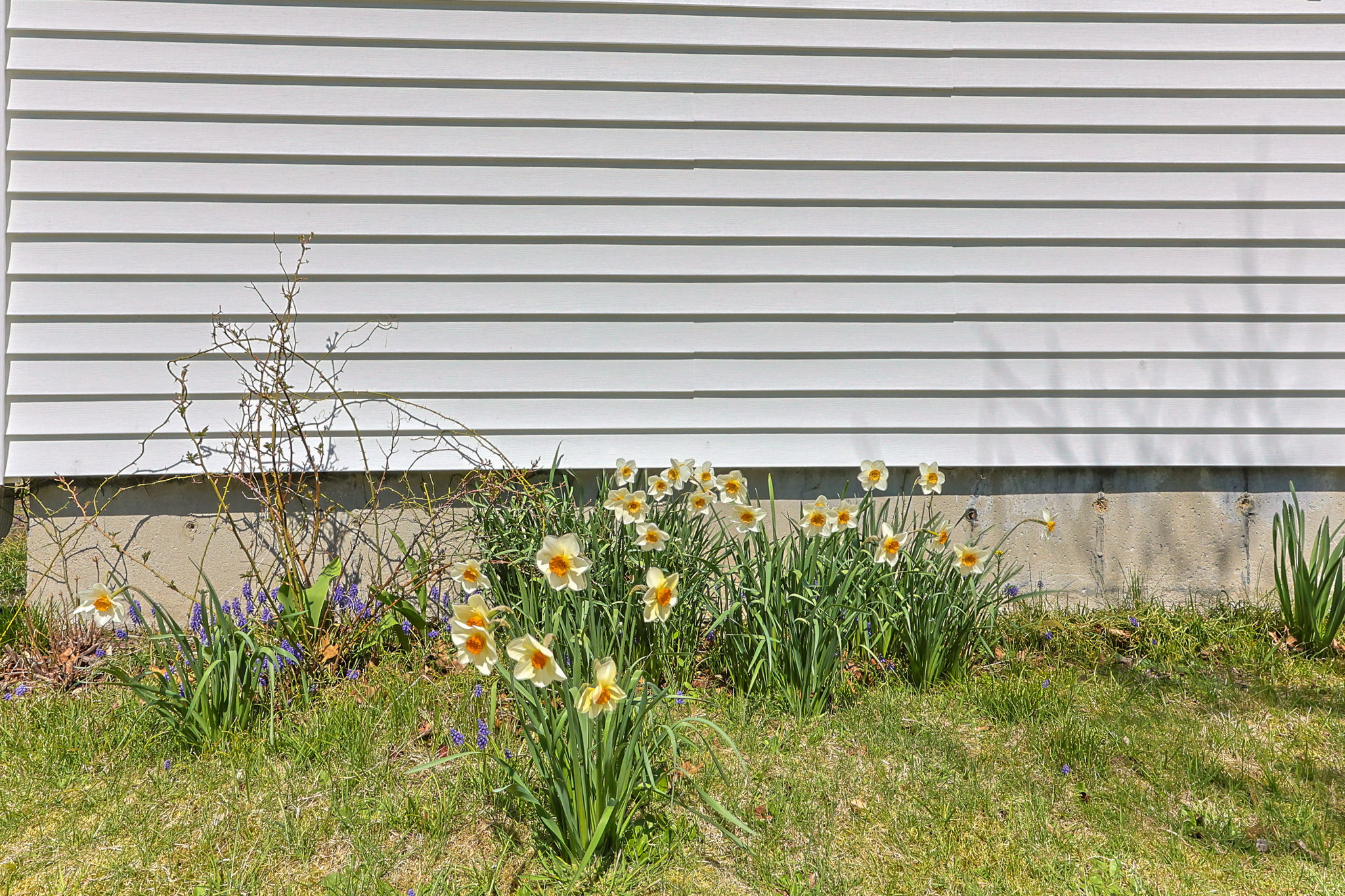  Photo 41