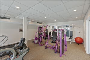  Photo 44
