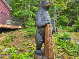  Photo 47