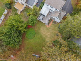  Photo 46
