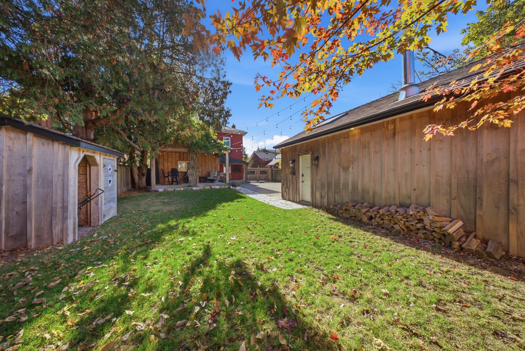  Photo 53