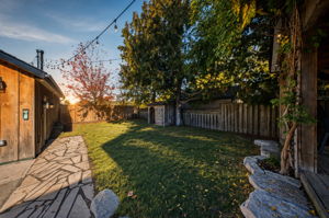  Photo 50