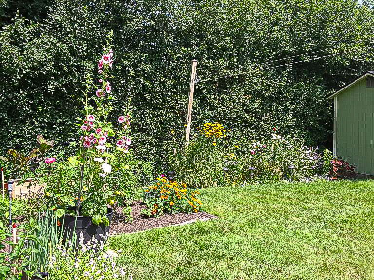  Photo 66