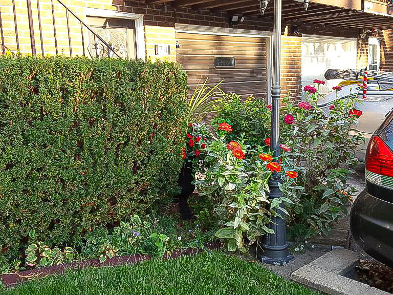  Photo 76