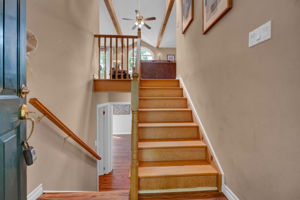  Photo 49