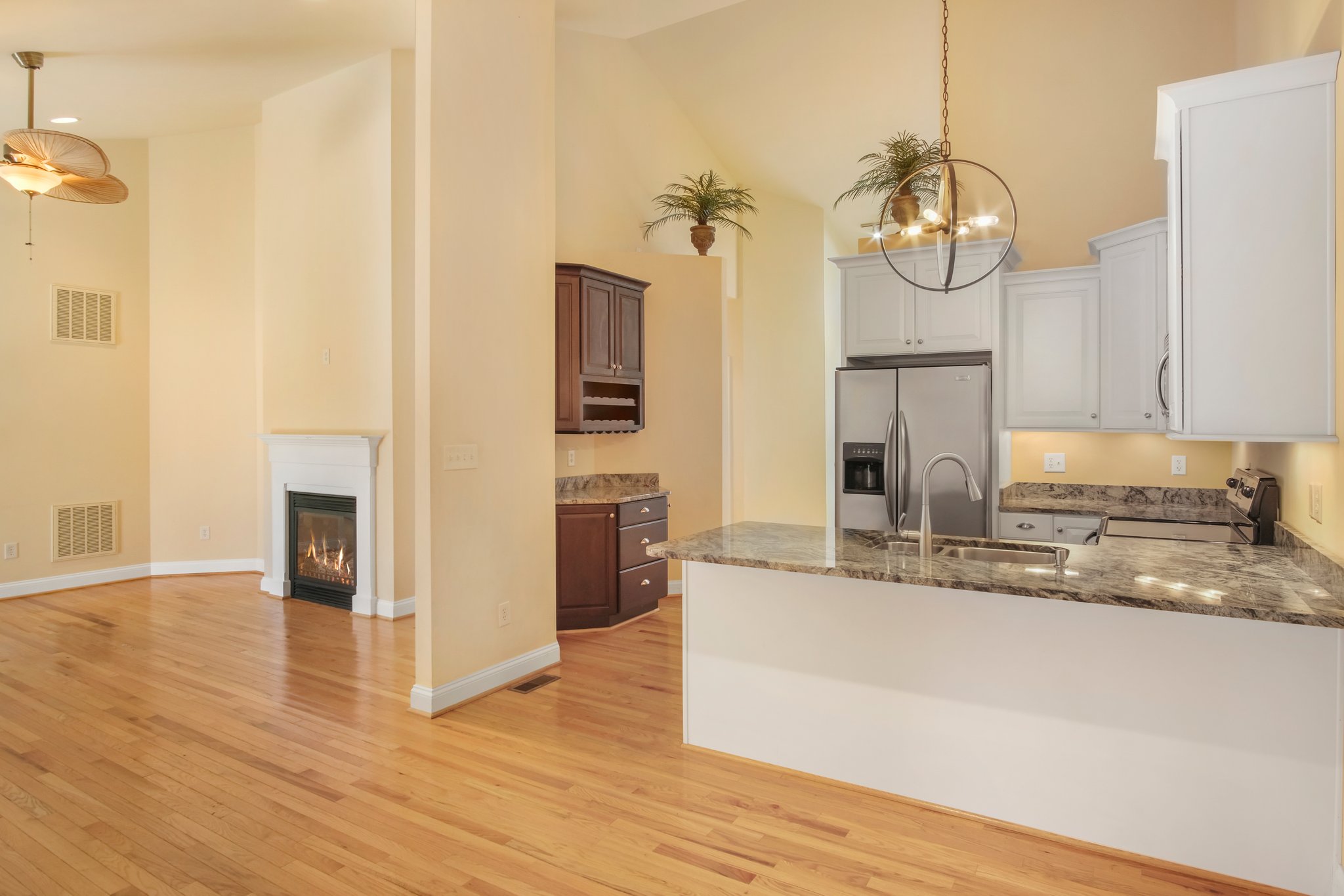 Kitchen / Dining / Living