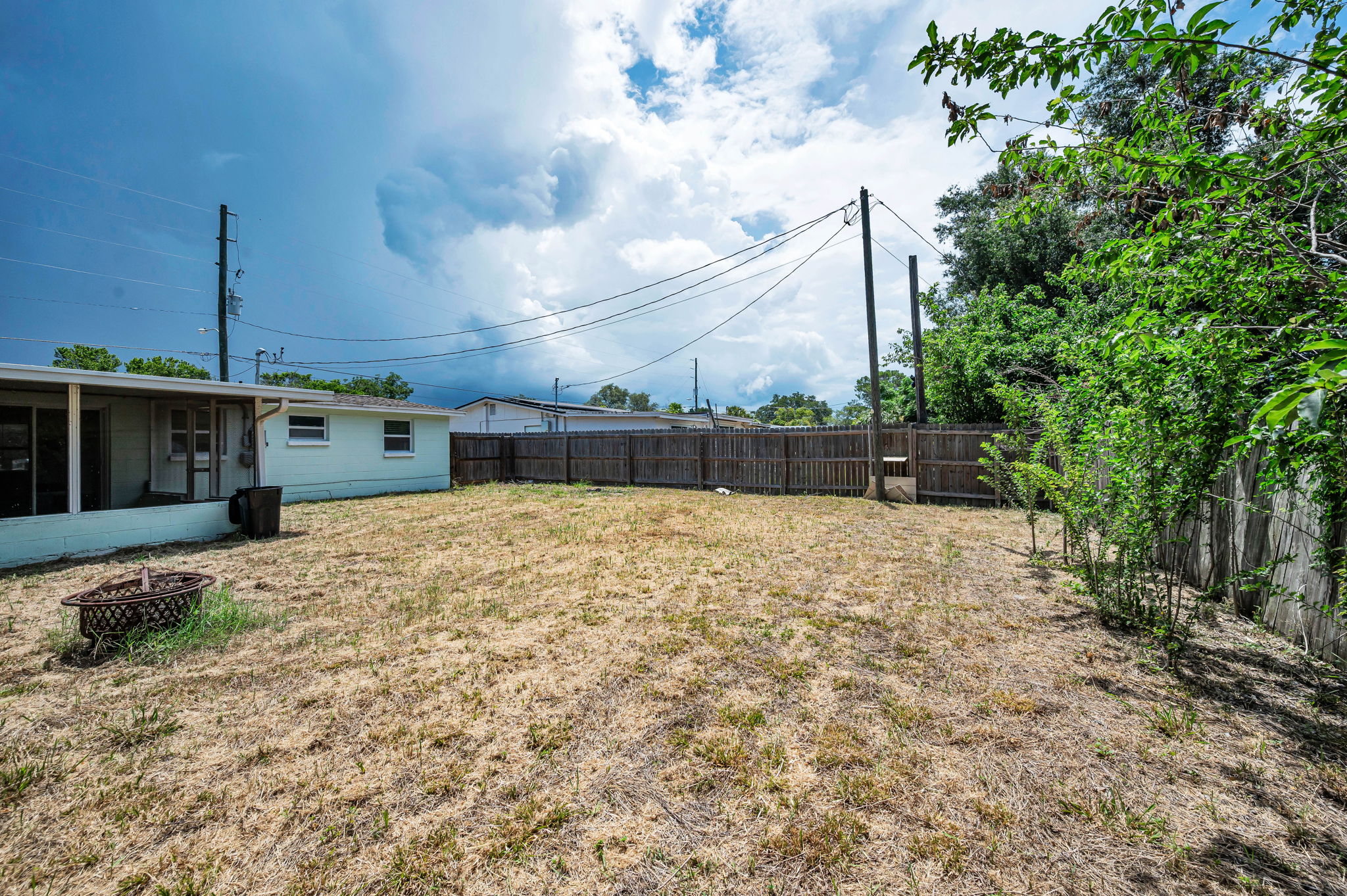 Backyard3