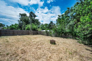 Backyard4