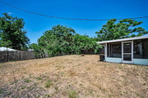 Backyard1