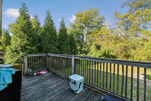 DSC04154.jpg