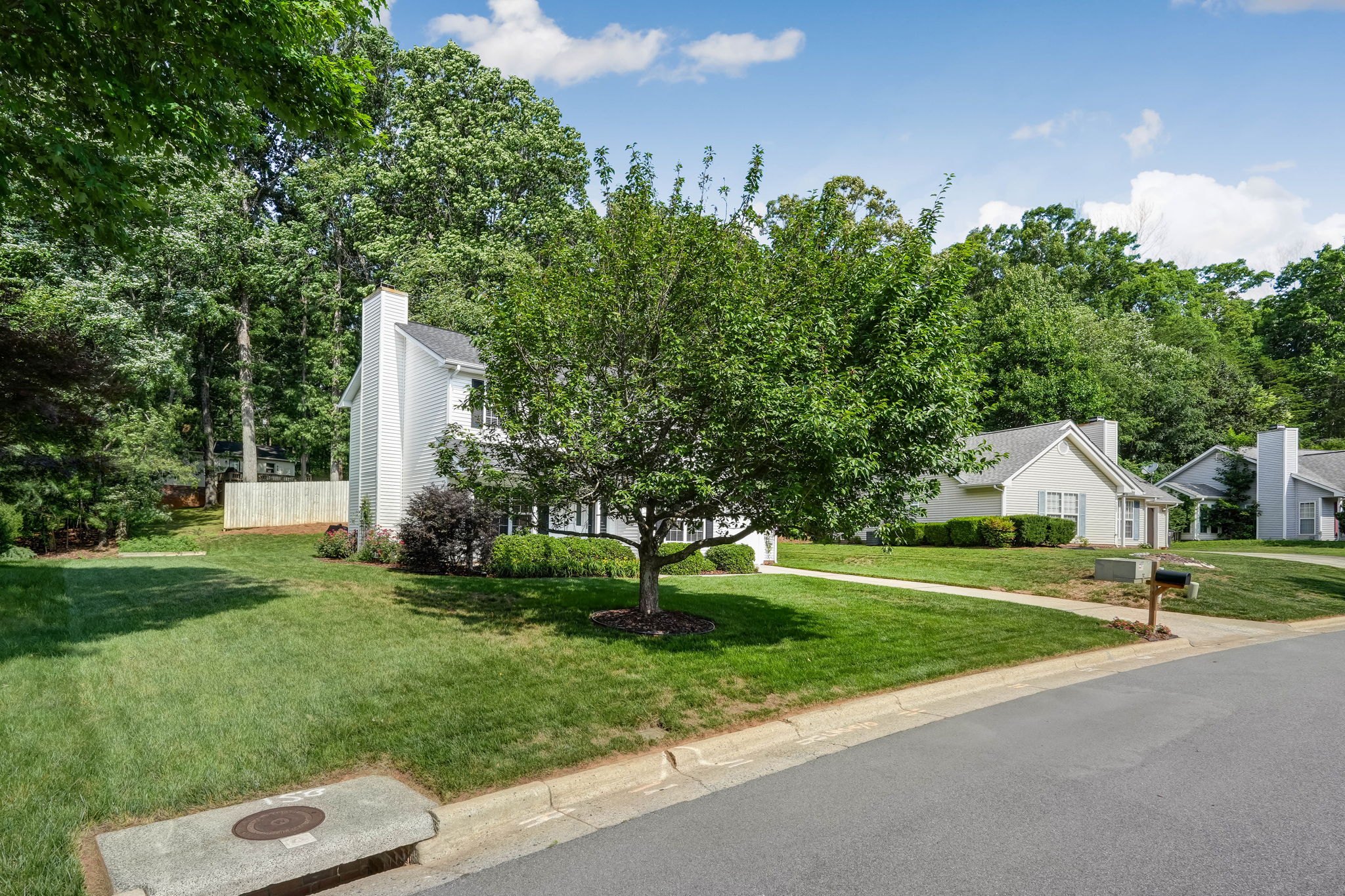 Front Yard