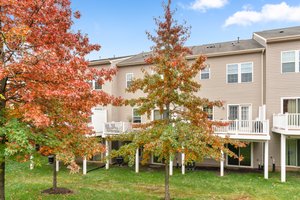 39. Back exterior.jpg