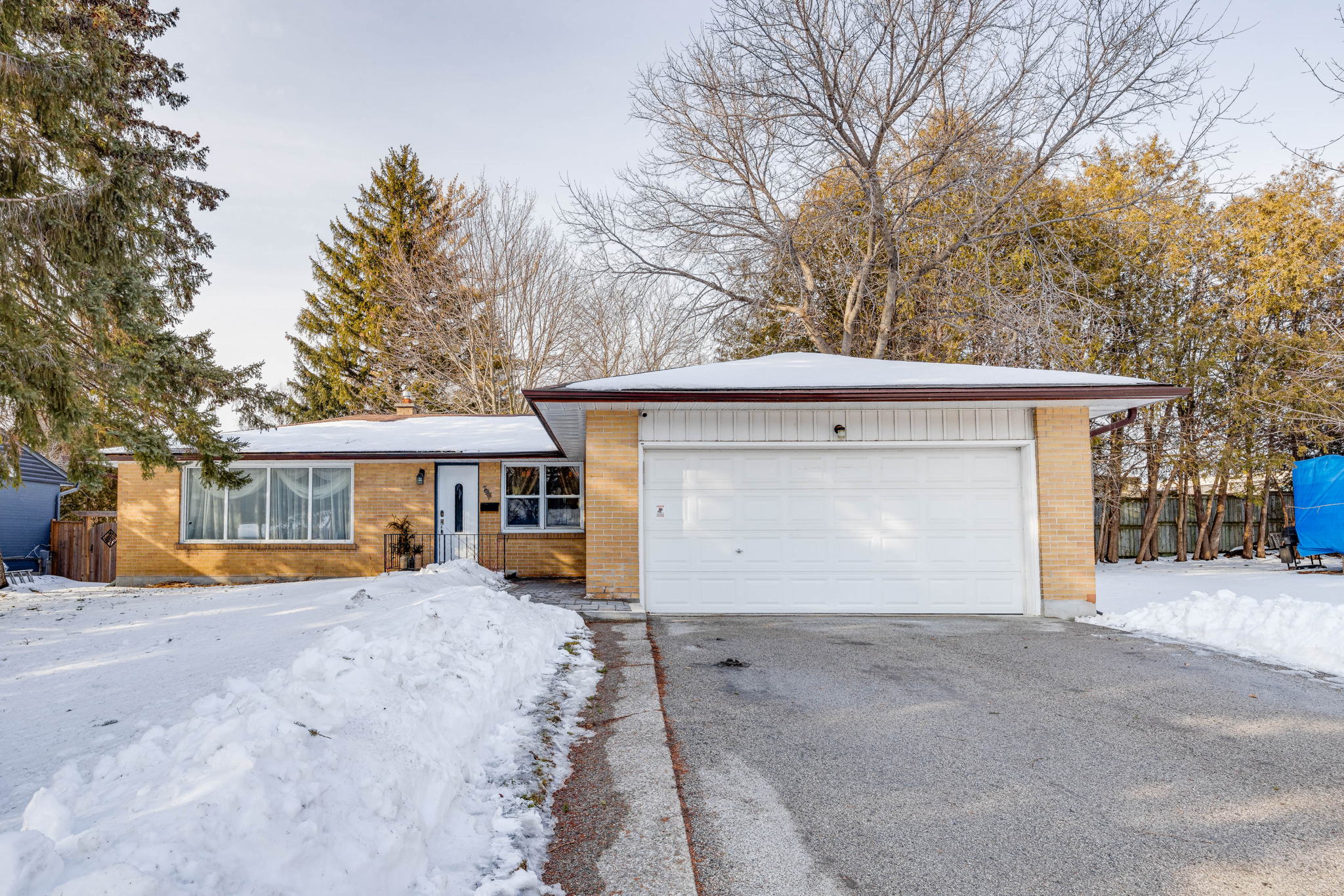 Newmarket property showcase