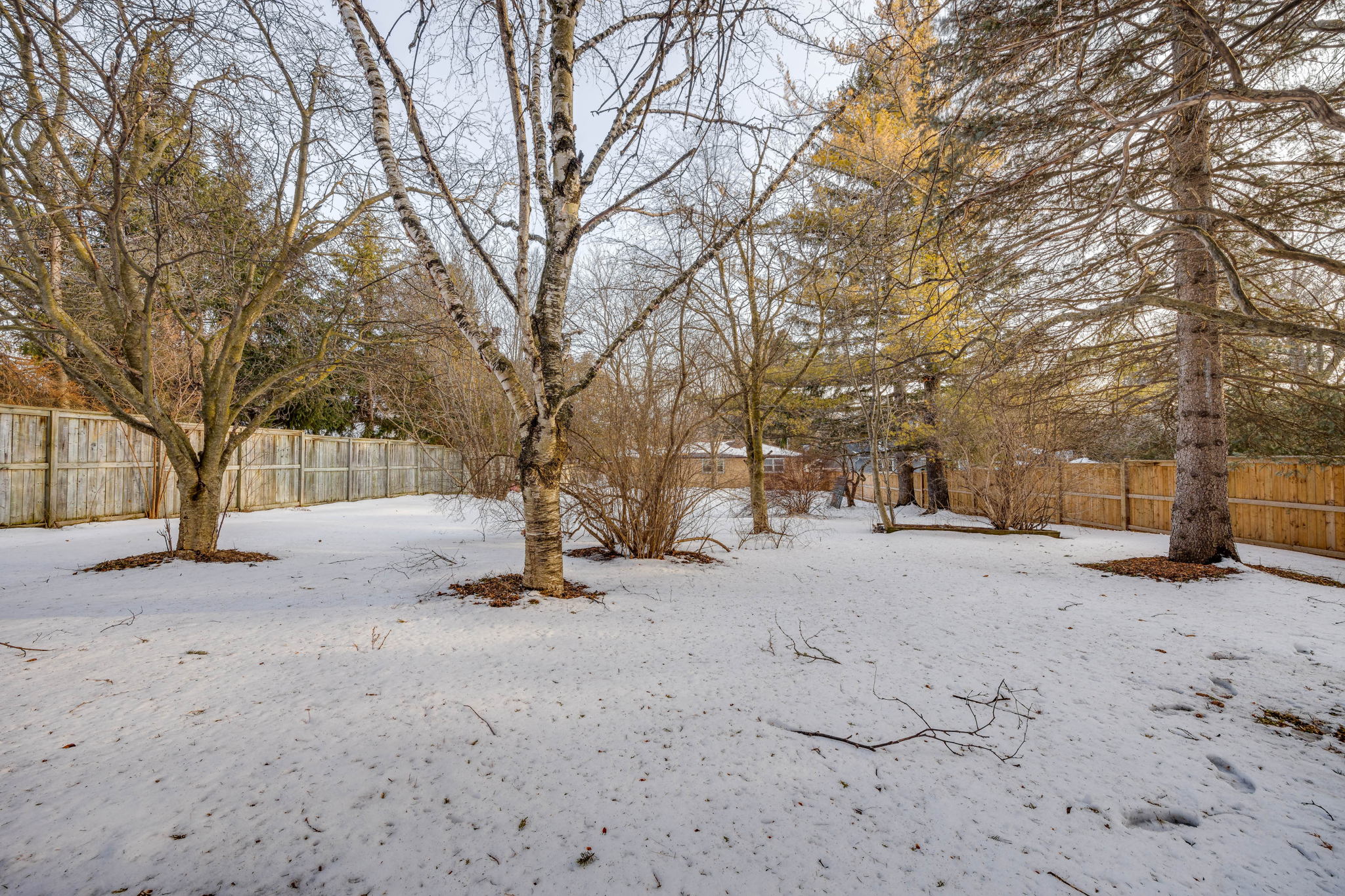 Newmarket property showcase — delivered property photograph 39