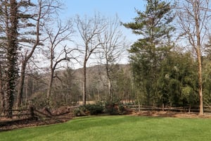 Zelda Court-L2602-056.jpg