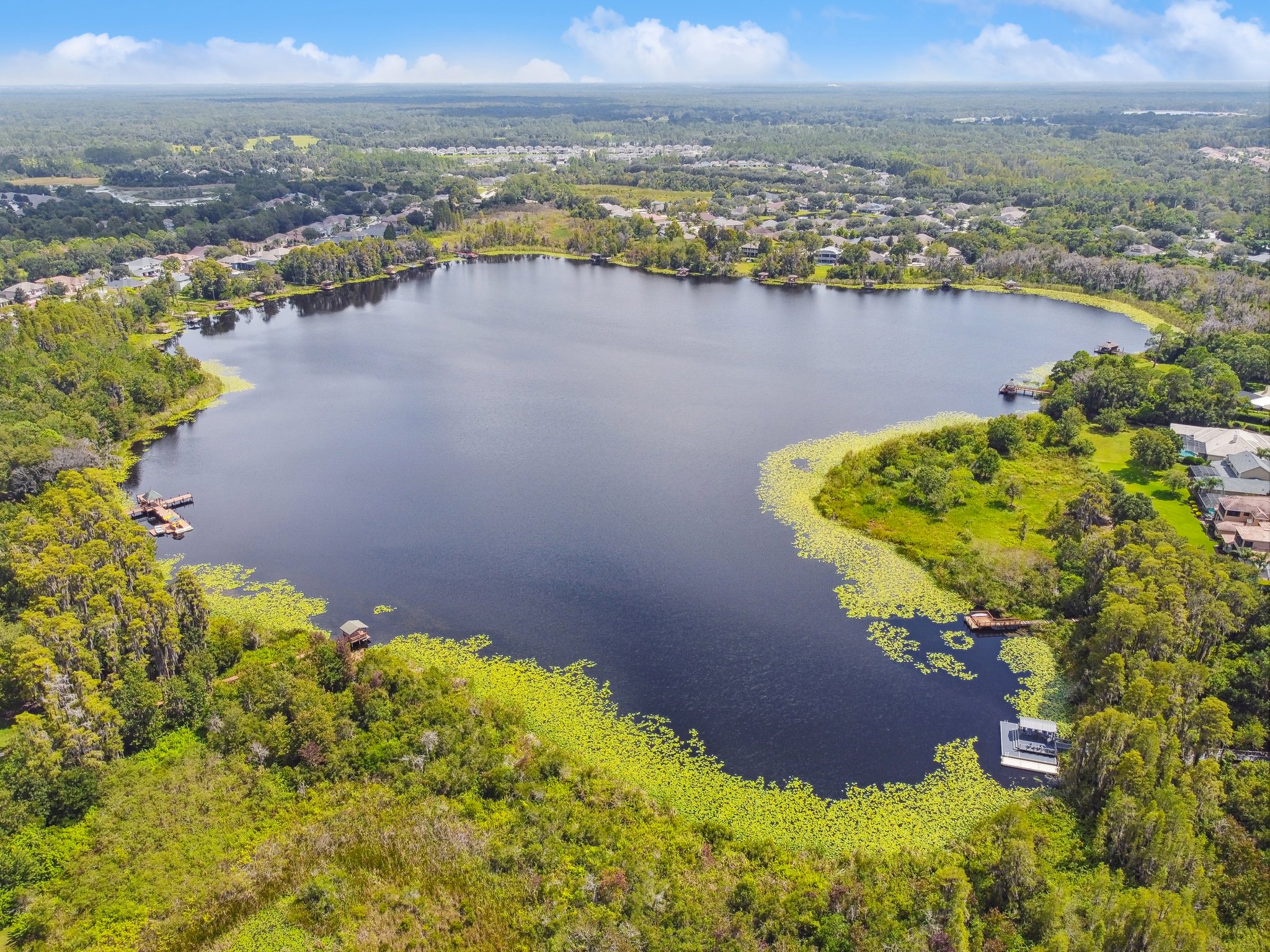 DJI_0203.jpg