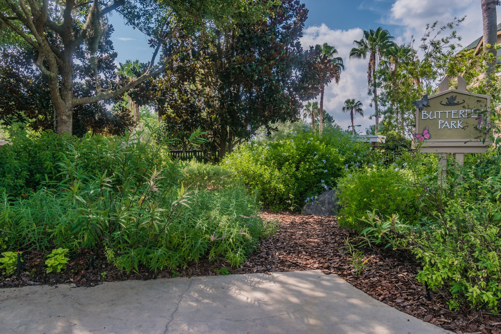 DSC_0999.jpg