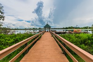 _DSC5126.jpg