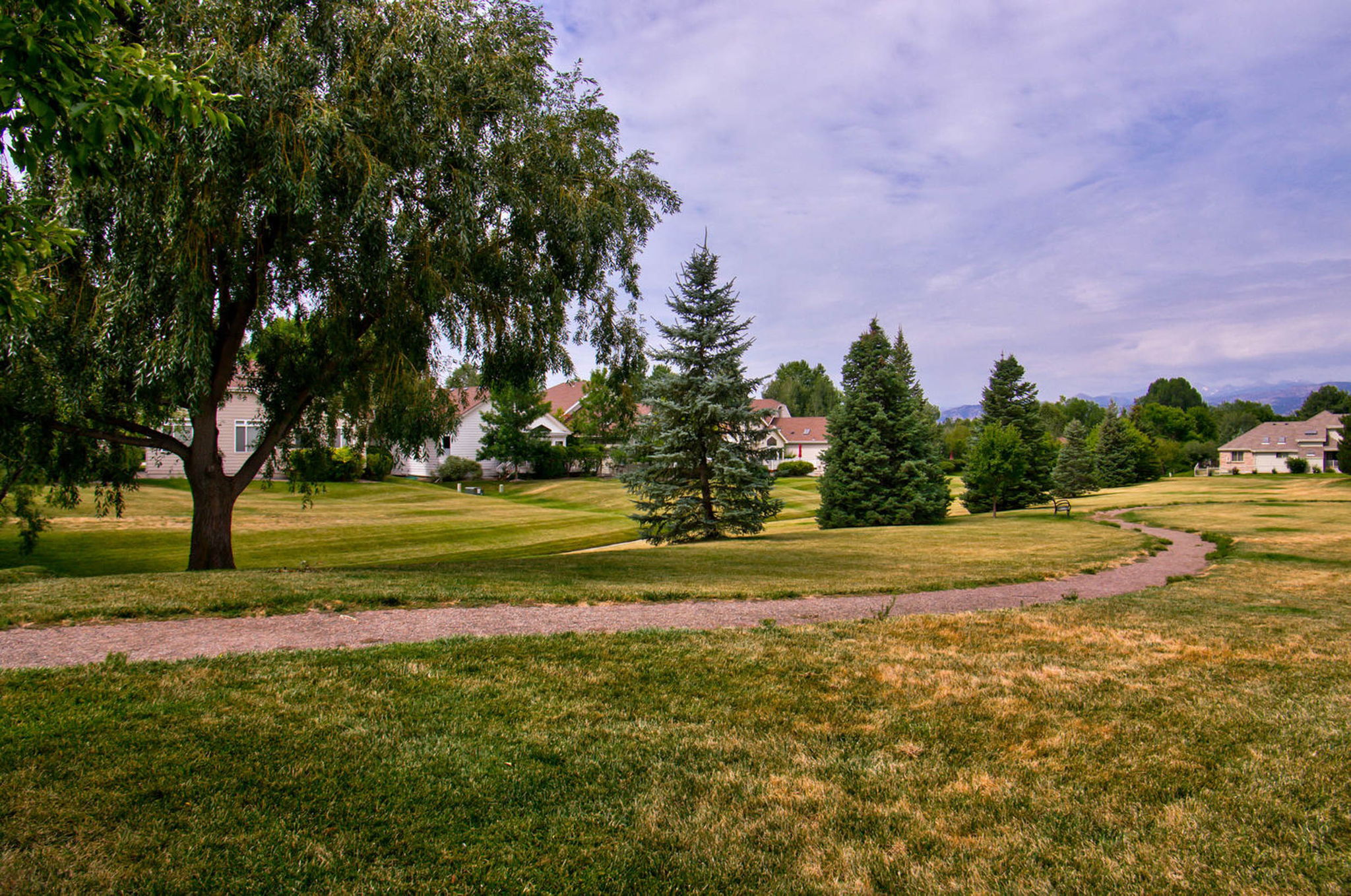  Photo 33