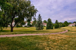  Photo 32