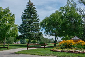  Photo 35