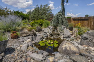  Photo 31