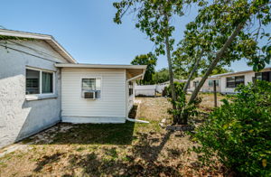 Backyard 1B