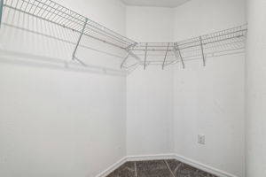 DSC_0287