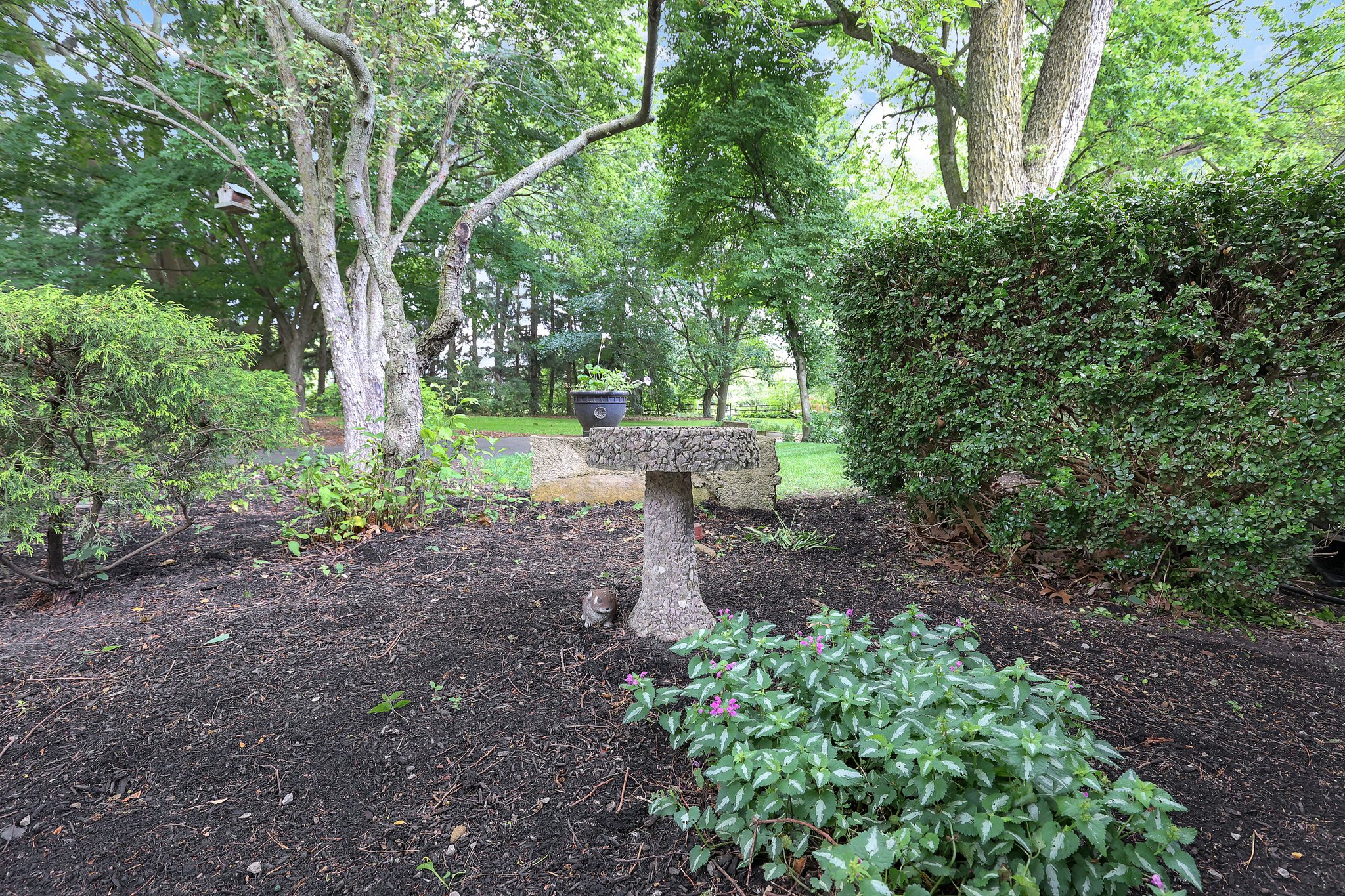  Photo 40