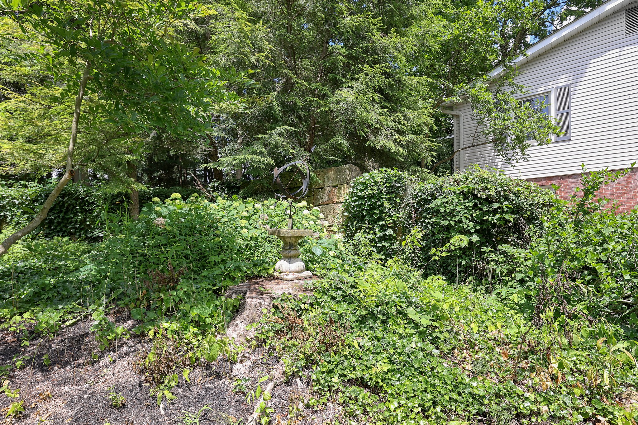  Photo 36