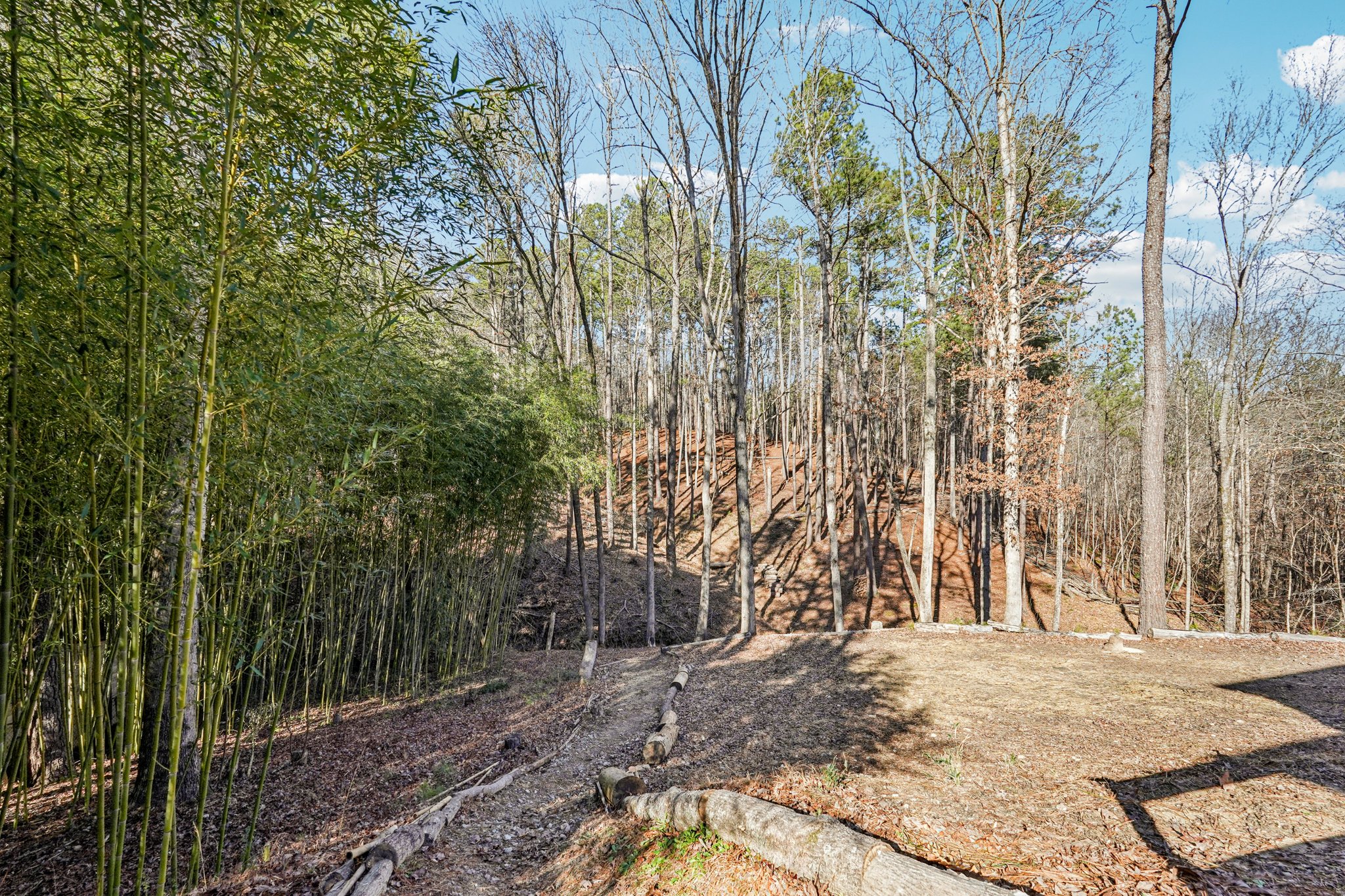 Narroway Trl-S1401-060.jpg