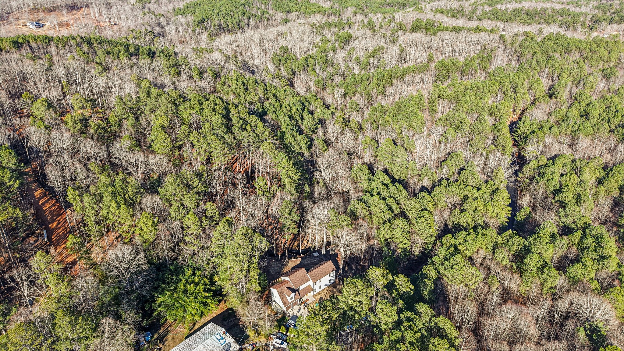 Narroway Trl-S1401-082.jpg