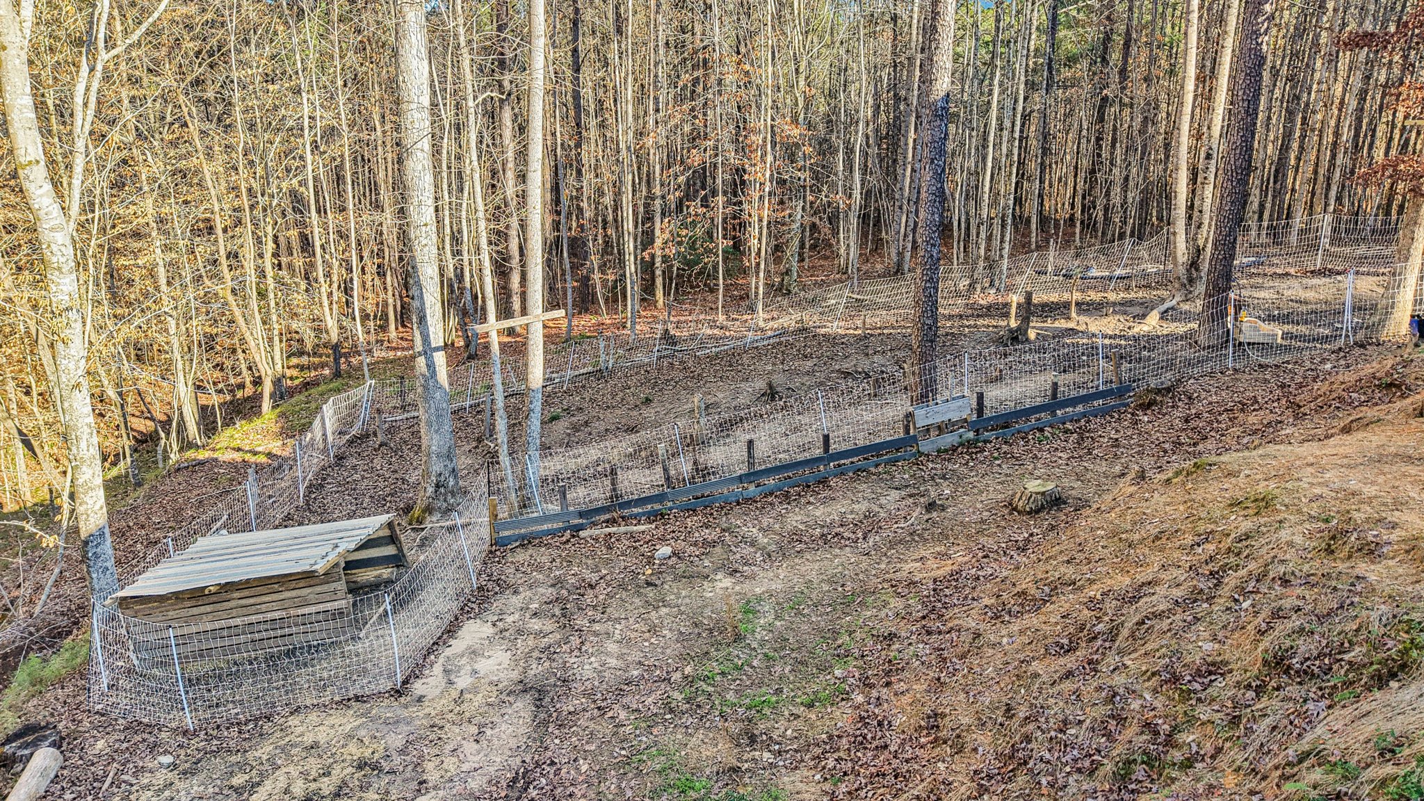 Narroway Trl-S1401-093.jpg