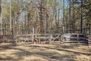 Narroway Trl-S1401-003.jpg