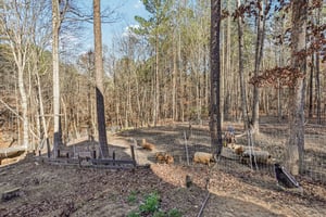 Narroway Trl-S1401-057.jpg