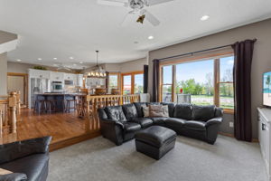 New Carpet (Main and second story)
