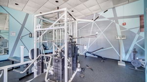  Photo 49