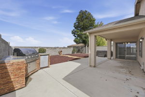 Back Patio 3